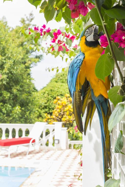 Bed and Breakfast Prestige Property - Da Costa Rio de Janeiro Zimmer foto